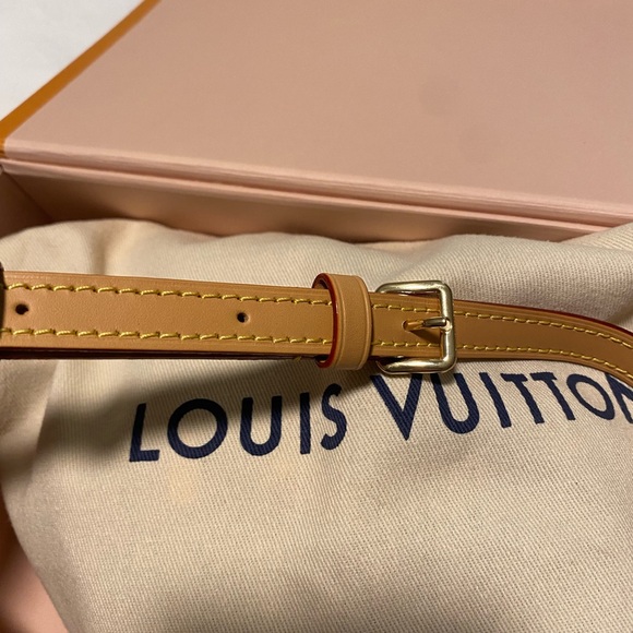 Louis Vuitton Brand New Mini Bum Bag - Picture 9 of 11